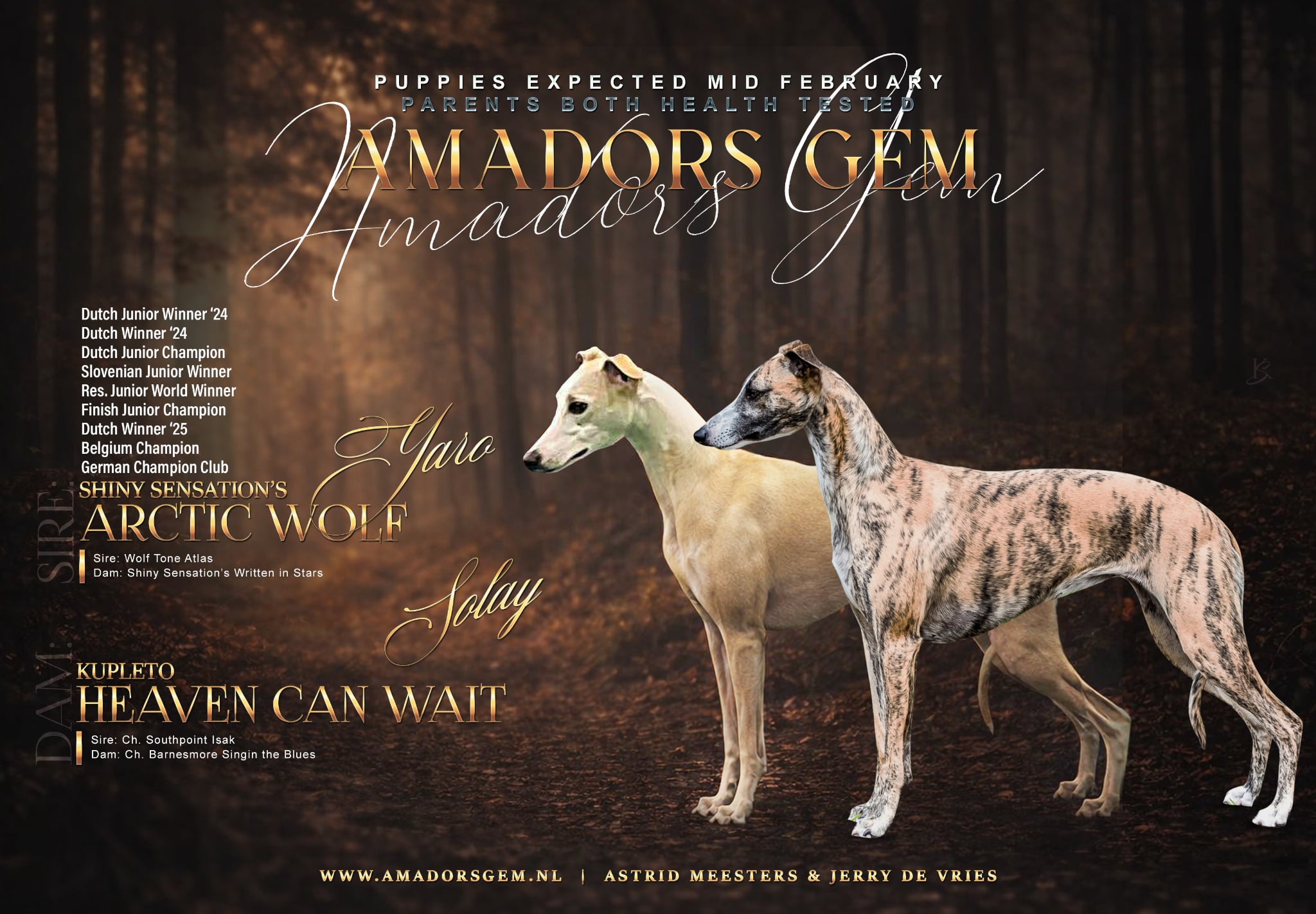 Adv._Solay_amadorsgem_2026_klein